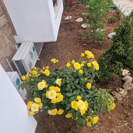 Вилла Victoria House