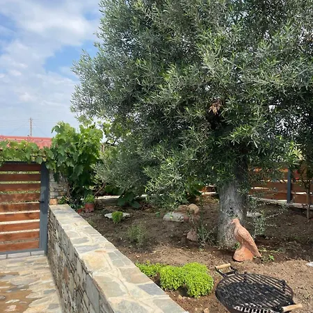 Villa Victoria House Polygyros