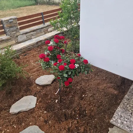 Villa Victoria House Polýgyros